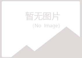 铁山区从安能源有限公司